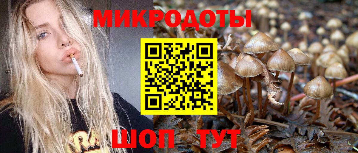 Галлюциногенные грибы прущие грибы Раменское