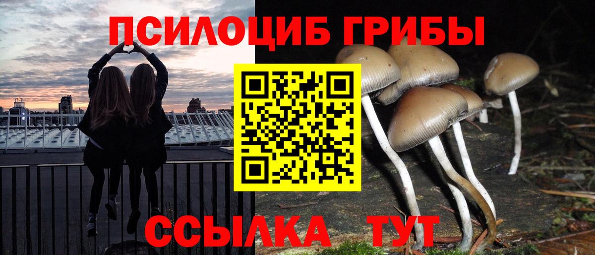 Псилоцибиновые грибы прущие грибы  Галлюциногенные грибы Psilocybe  Раменское  Вход с VPN 